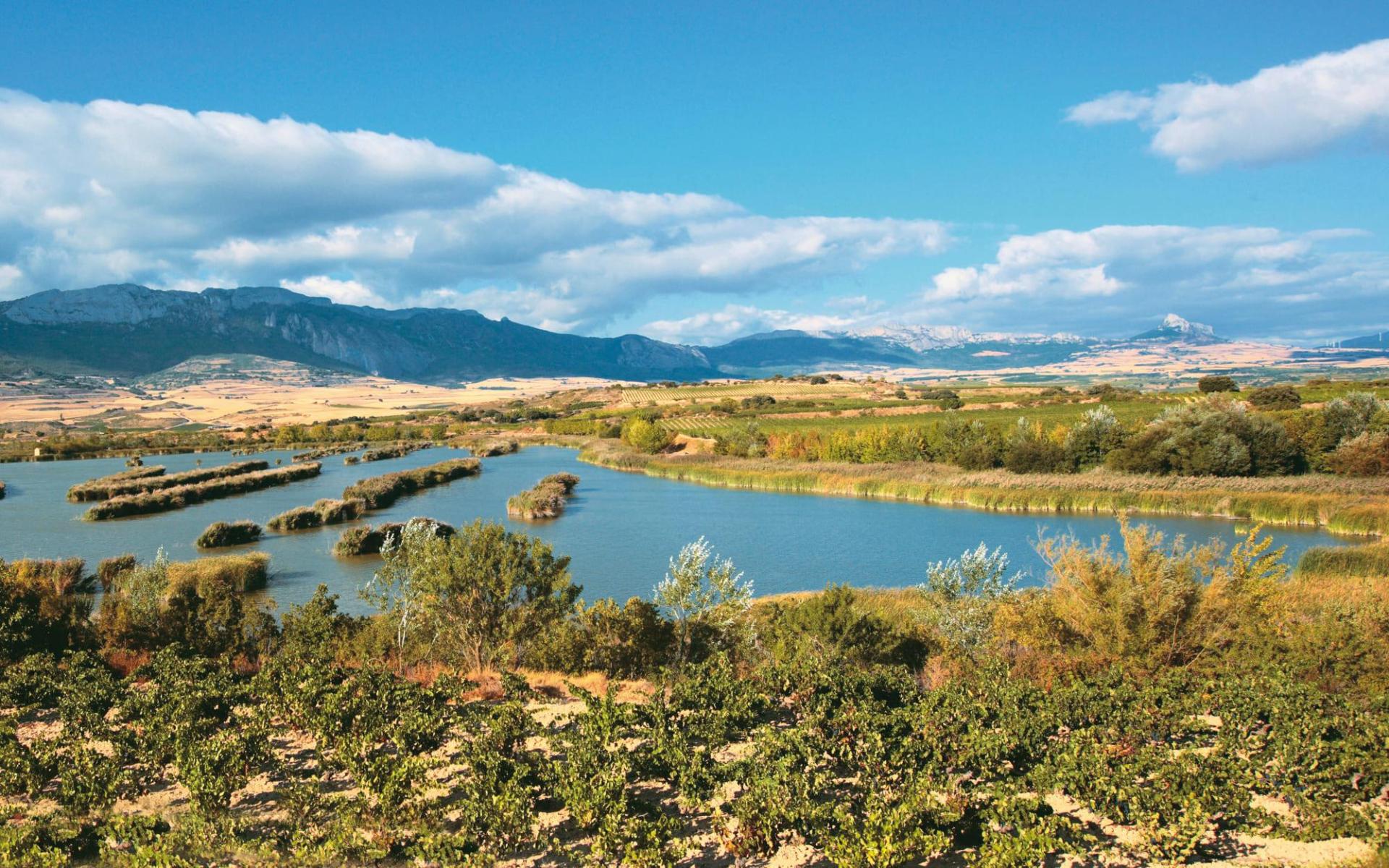 Biotope Prot�g� des Lagunes de Laguardia