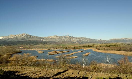 Biotope Prot�g� des Lagunes de Laguardia