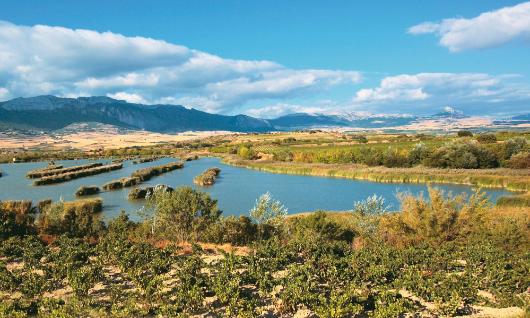 Biotope Prot�g� des Lagunes de Laguardia